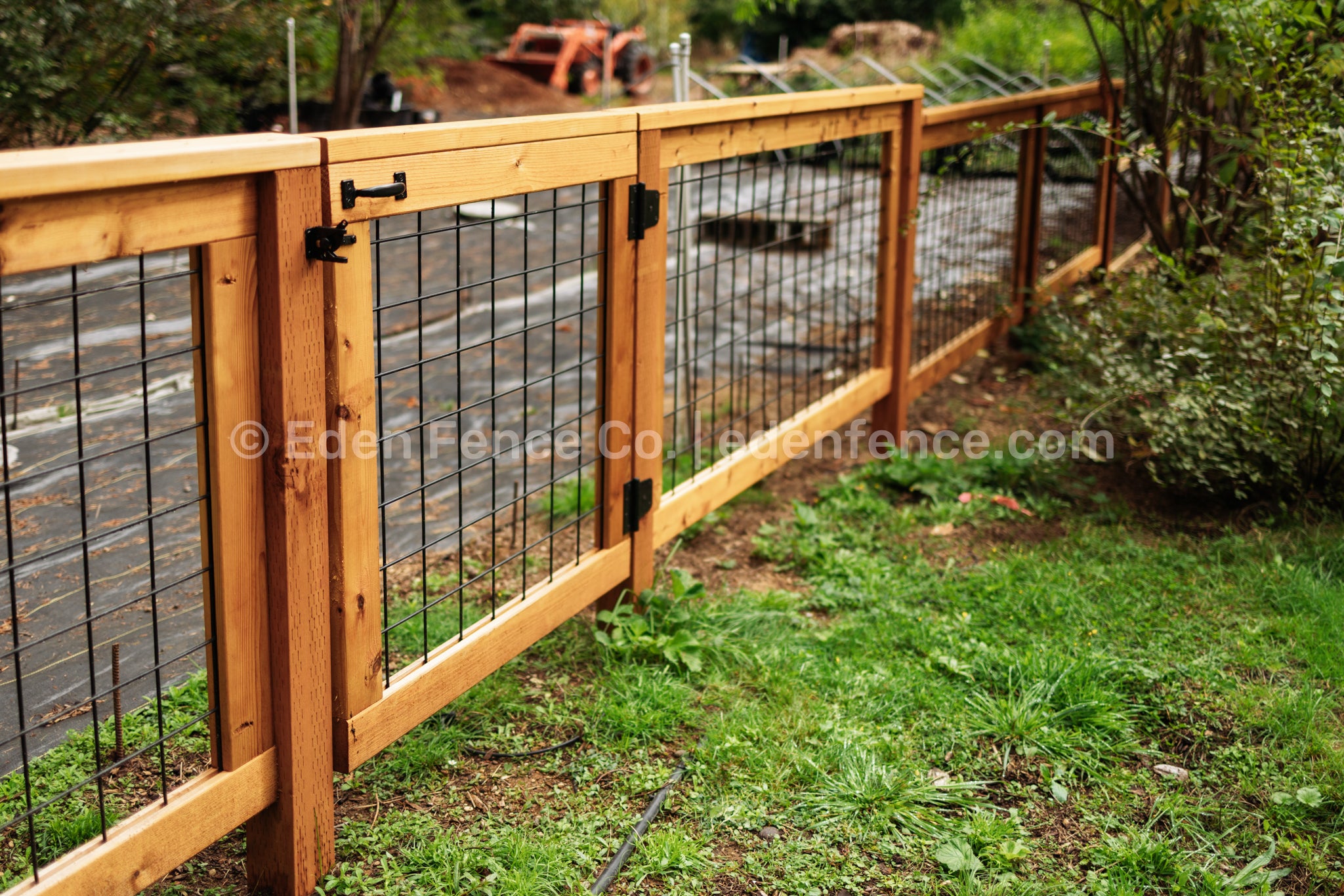 36" H – Low Premium Cedar & Douglas Fir Fence Panel