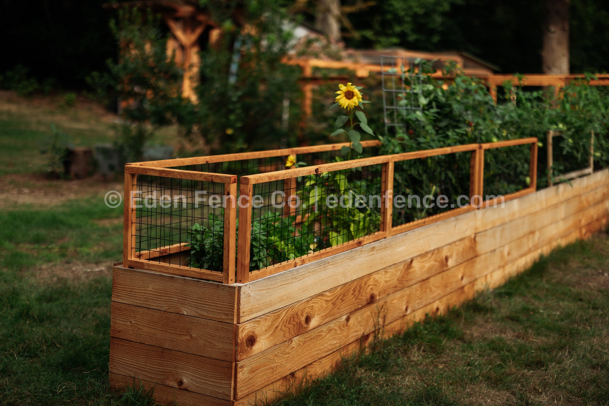 48" Wide Lightweight Cedar & Douglas Fir Garden Fence Panel