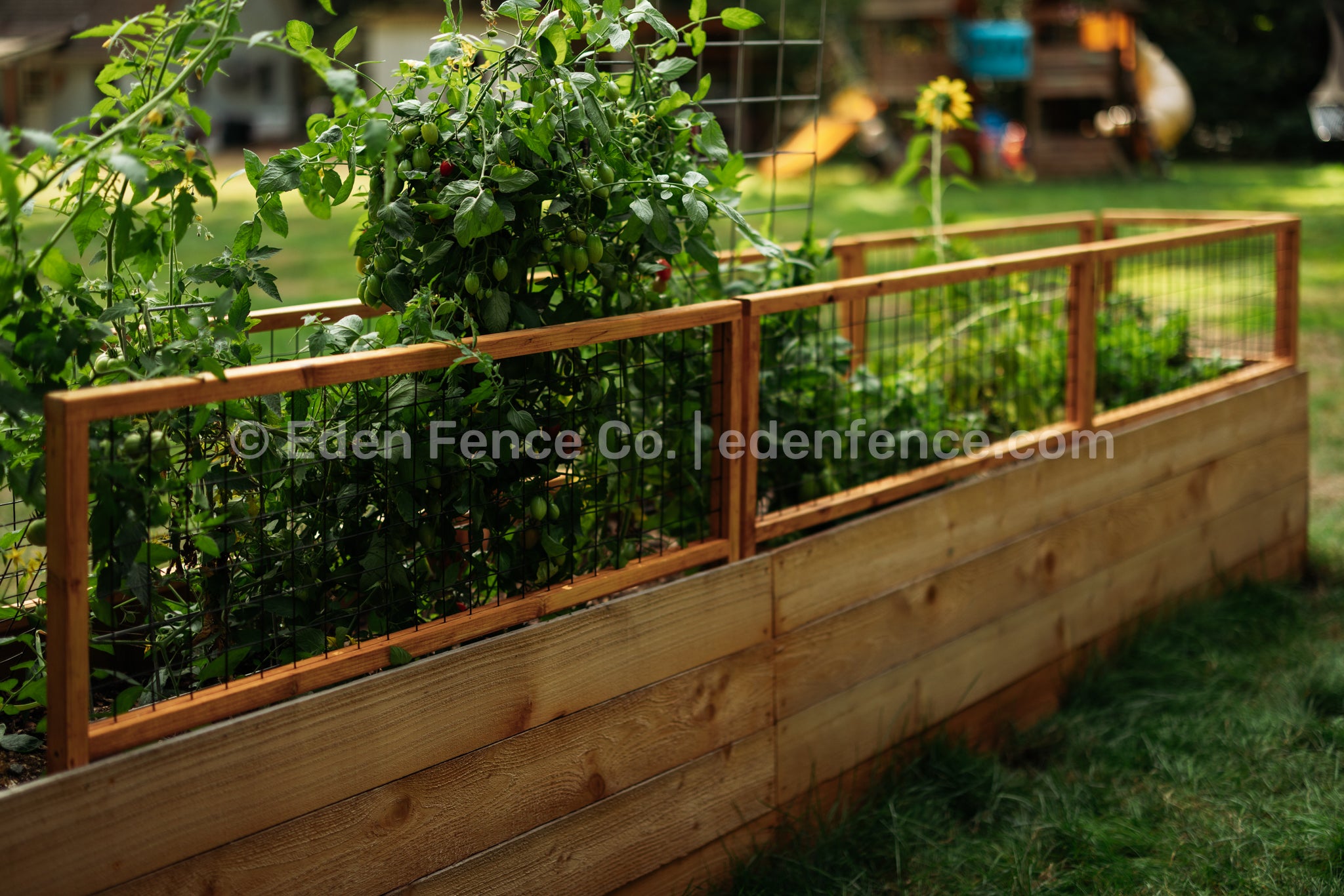 48" Wide Lightweight Cedar & Douglas Fir Garden Fence Panel
