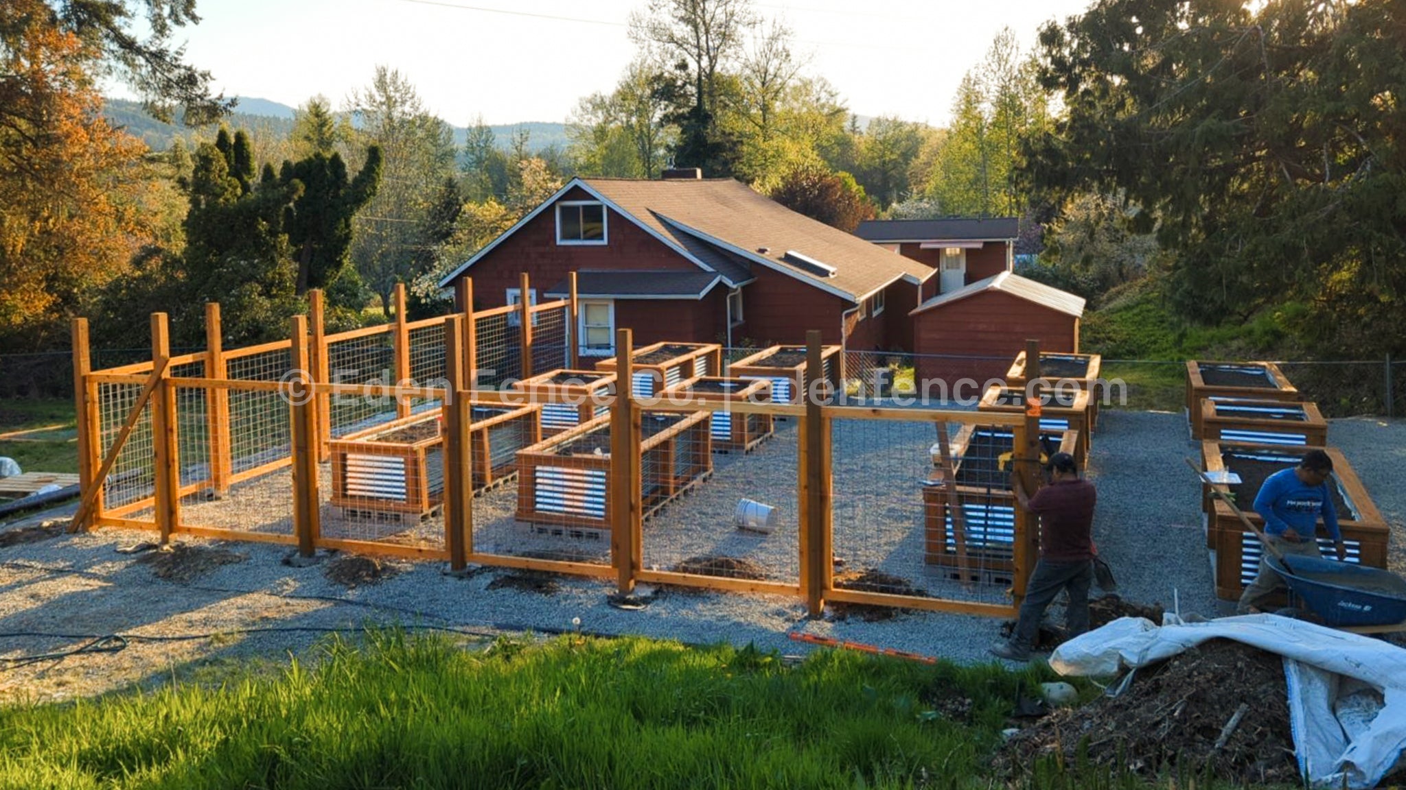 66" H – XL Premium Cedar & Douglas Fir Fence Panel