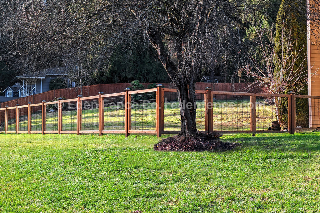 Eden Fence Co hog panel fence with black wire mesh installed in a backyard setting in Redmond, Washington