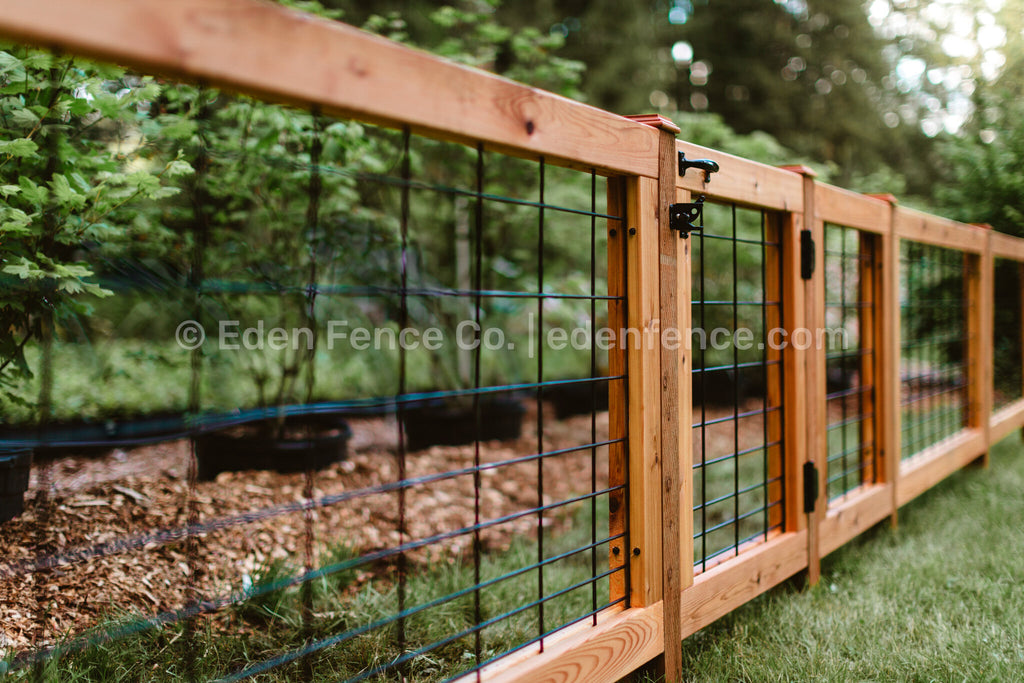 36" H – Low Premium Cedar & Douglas Fir Fence Gate Panel
