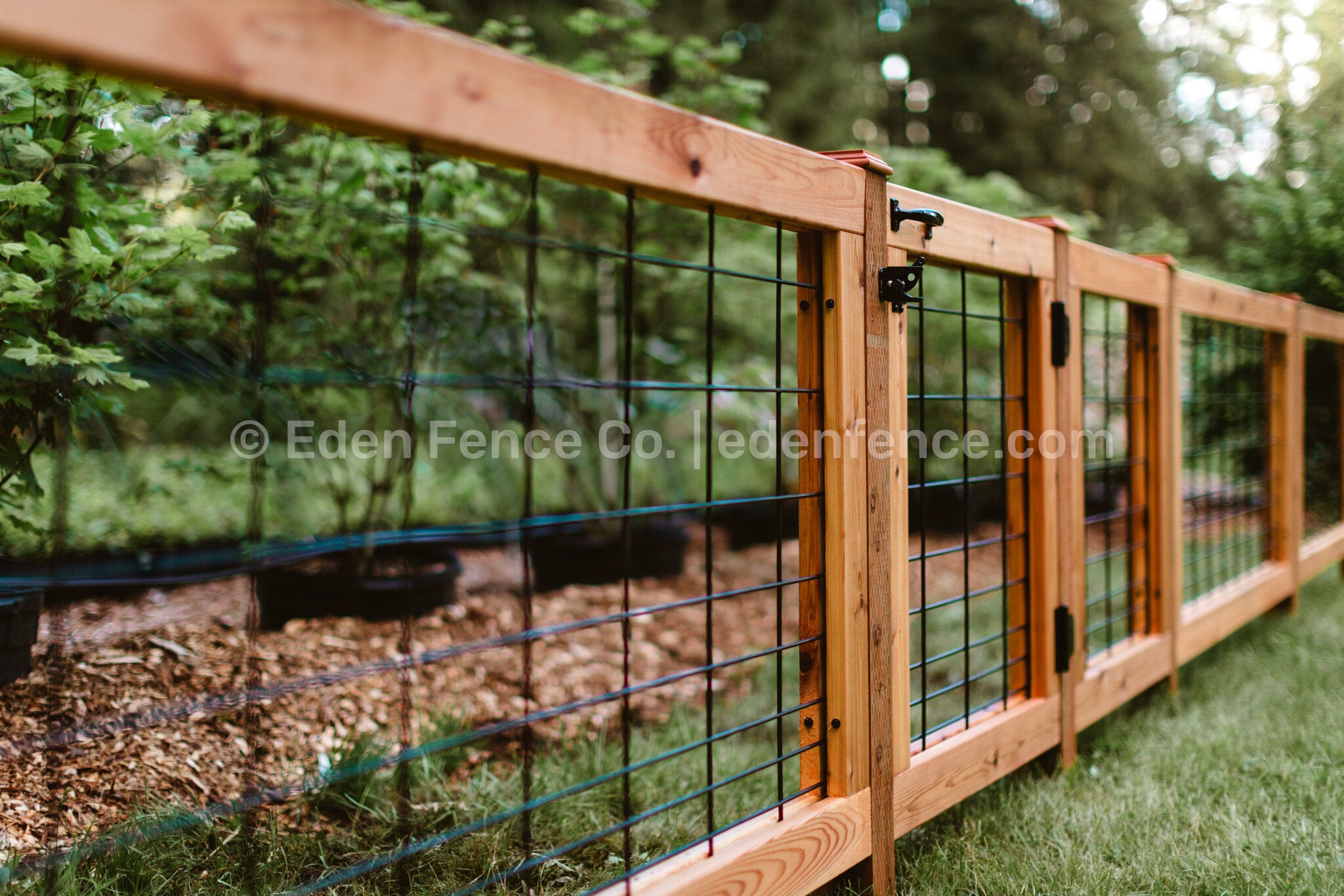36" H – Low Premium Cedar & Douglas Fir Fence Gate Panel