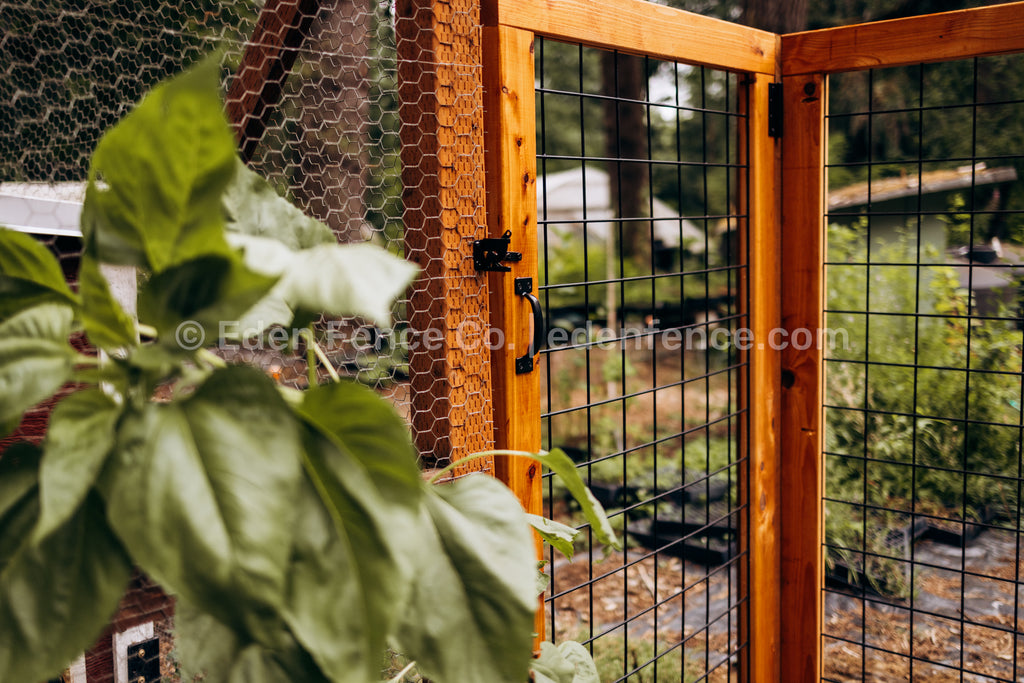 66" H - XL Premium Cedar & Douglas Fir Fence Gate