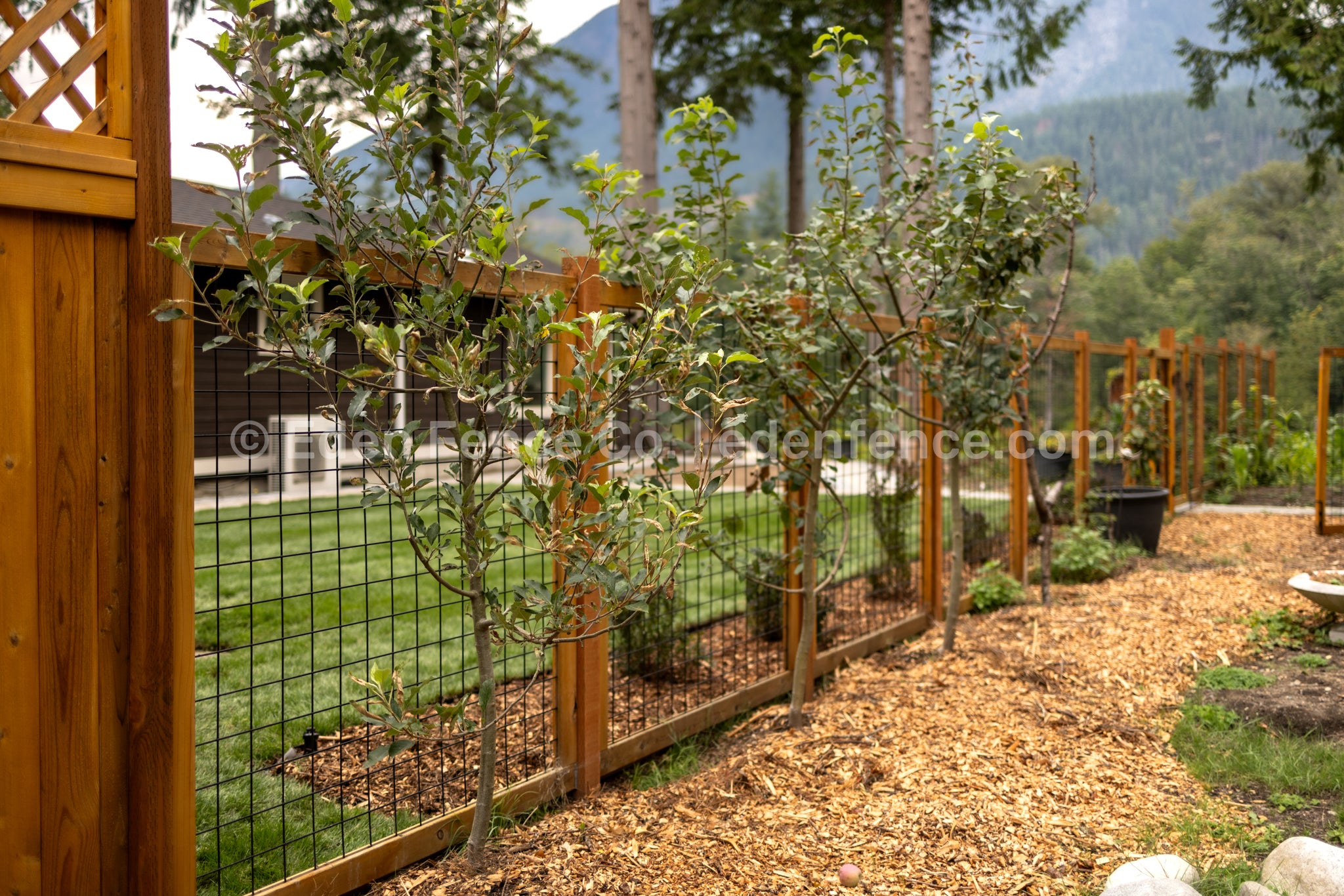 66" H – XL Premium Cedar & Douglas Fir Fence Panel