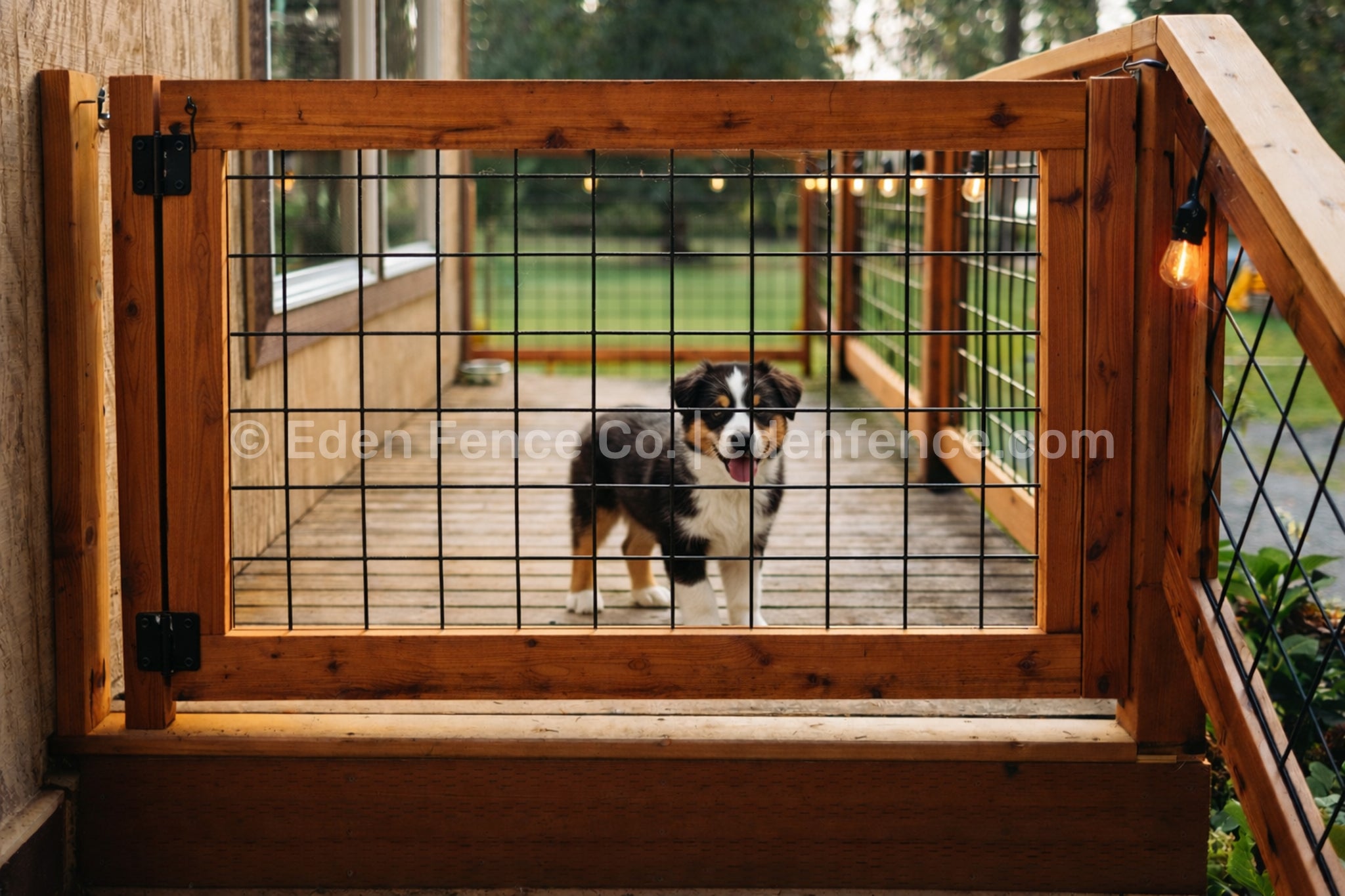 36" H – Low Premium Cedar & Douglas Fir Fence Gate Panel